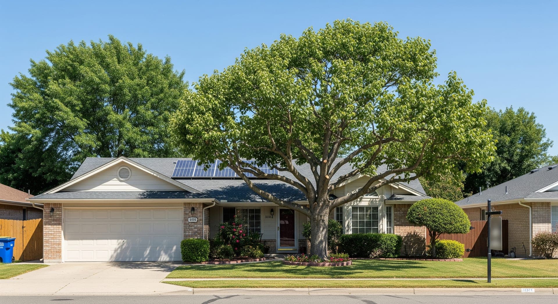 Why Homeowners Use NewSolarQuotes for Tree Trimming and Removal