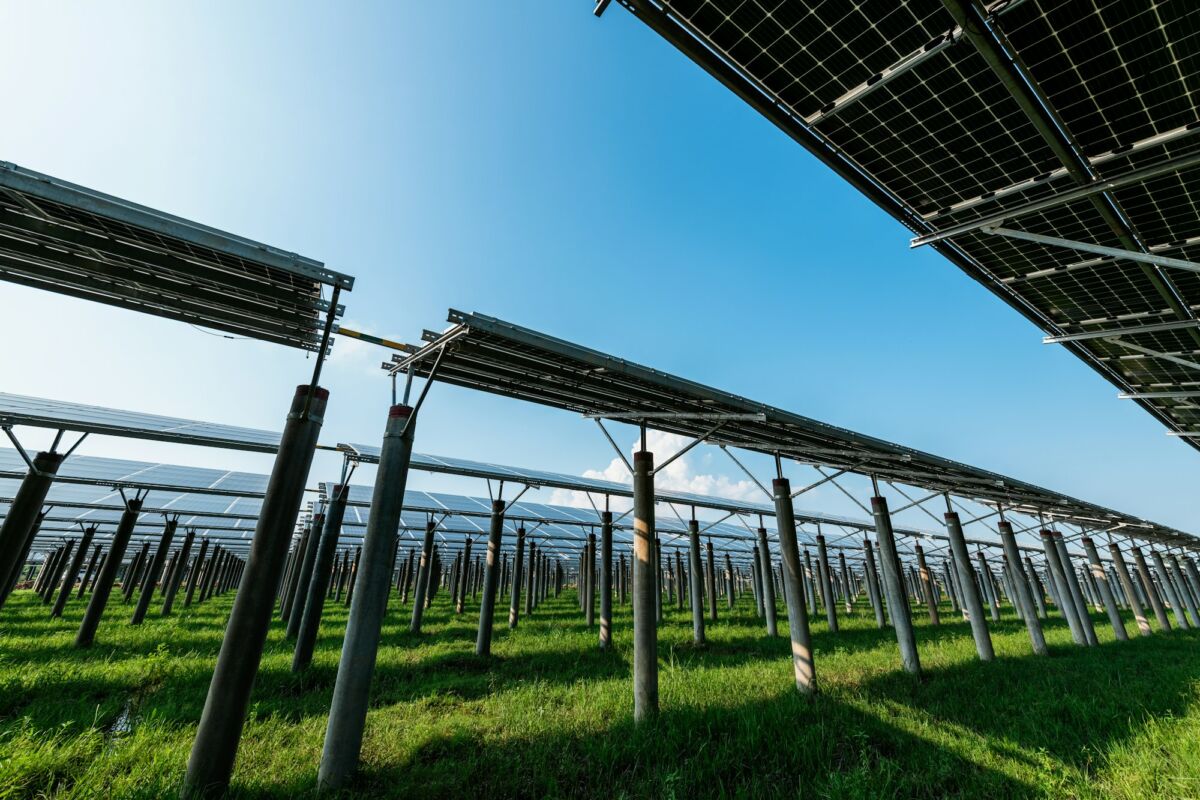 Custom solar panels