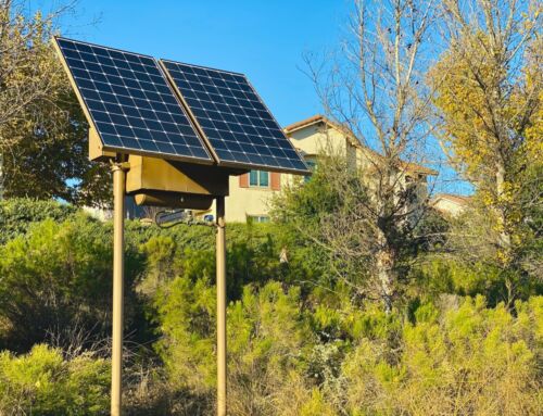 Do Solar Panels Work In Winter? Yes, Here’s How