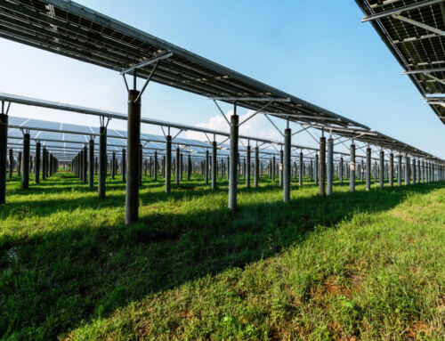 DIY Solar Installation: Save Money & Go Green
