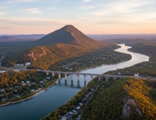 How to Compare Solar Quotes for Maximum Savings