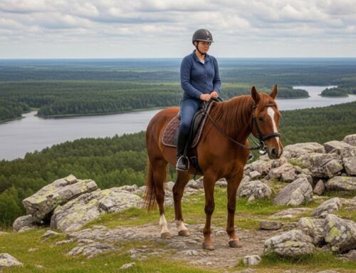 Solar Installers Chicago Illinois: Save on Energy Bills